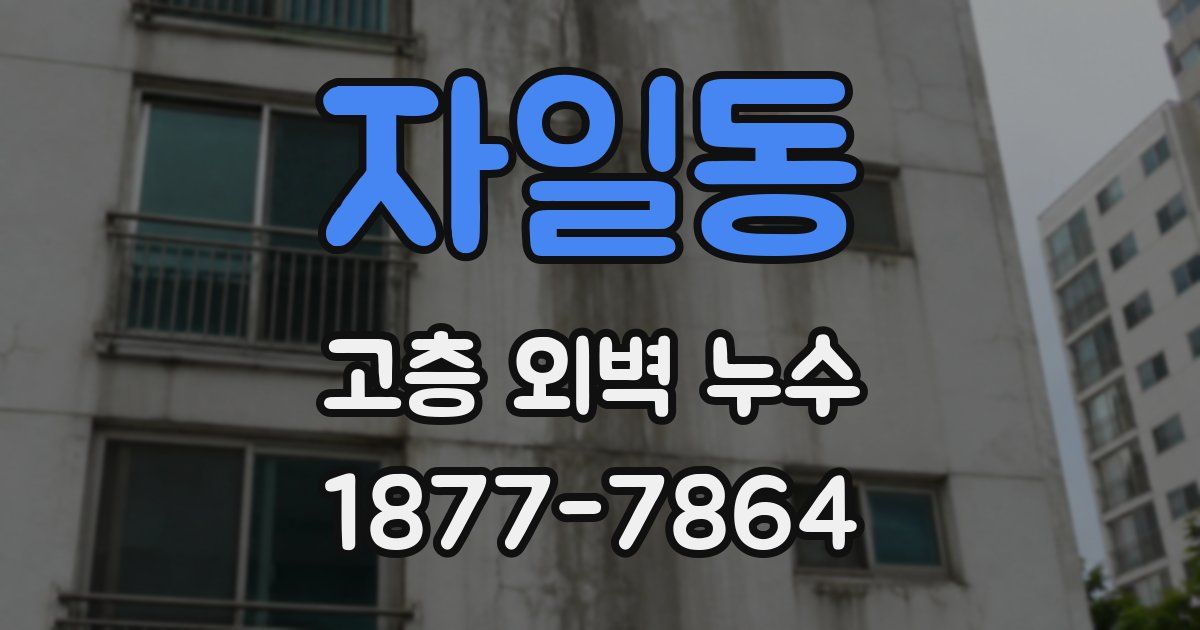 자일동 고층 외벽 누수