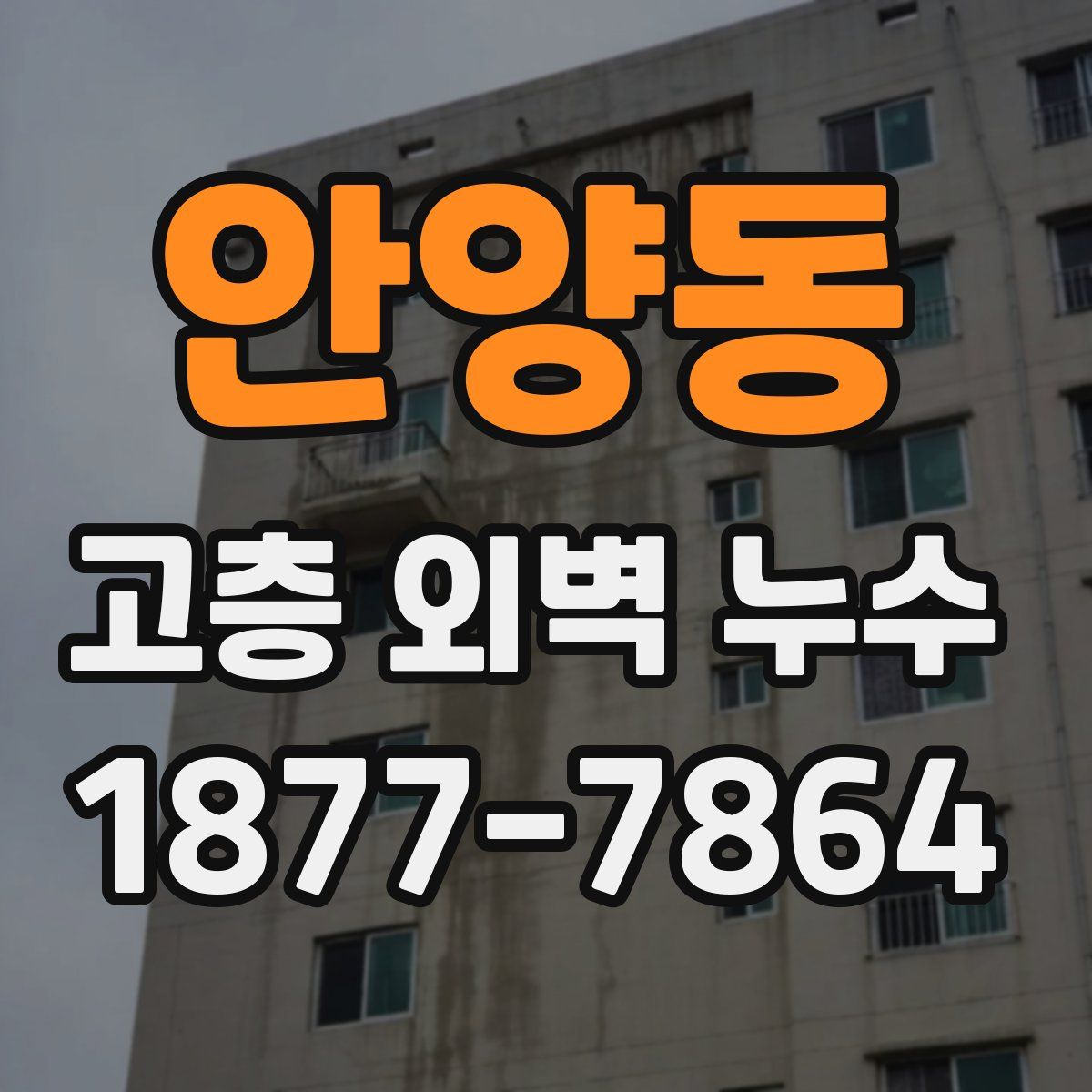 안양동 고층 외벽 누수