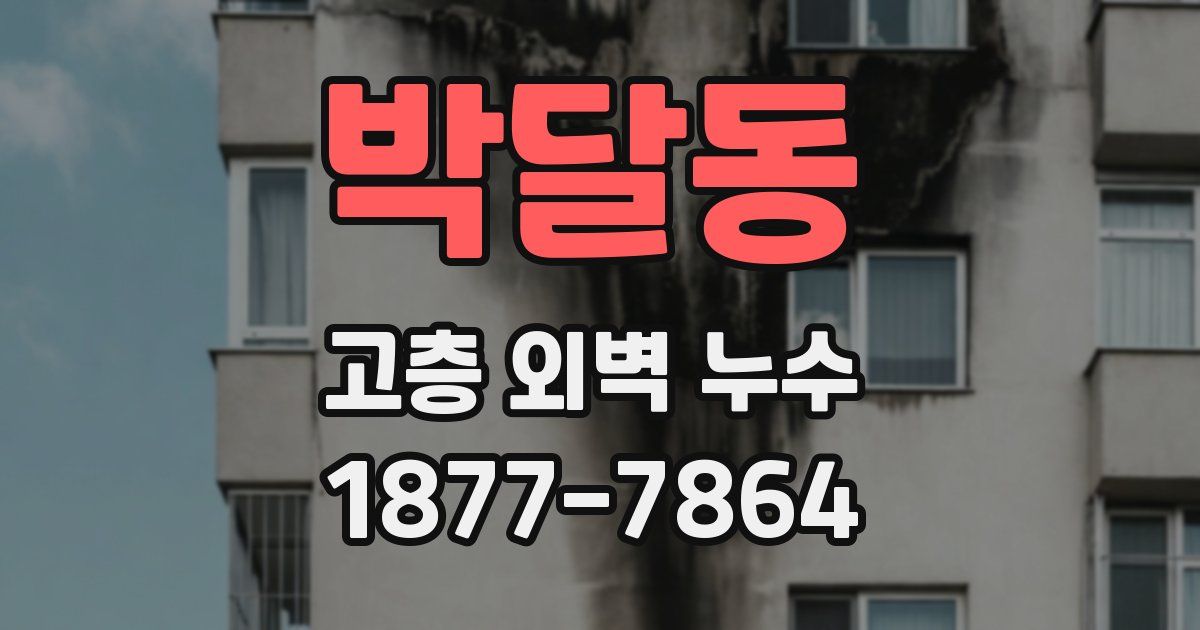 박달동 고층 외벽 누수