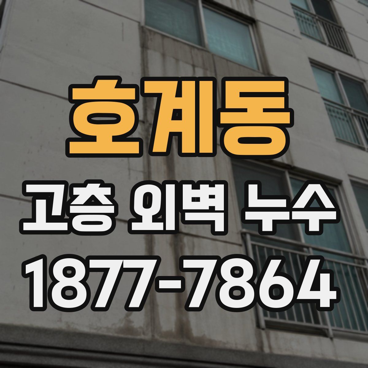 호계동 고층 외벽 누수
