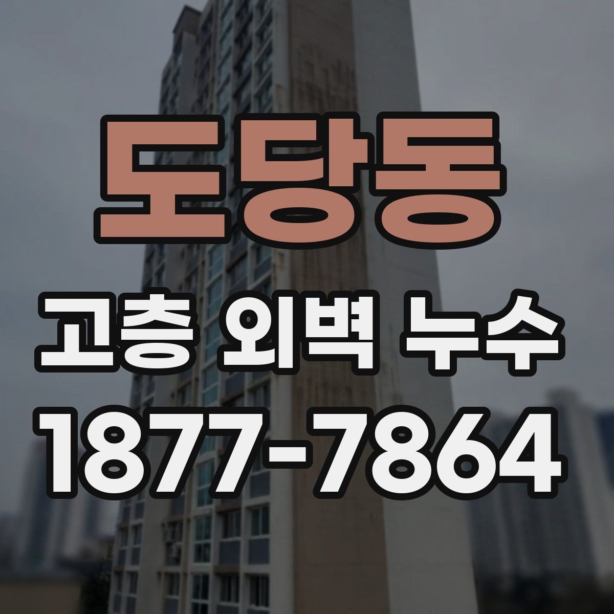 도당동 고층 외벽 누수 건물 연식에 따라 달라지는 문제
