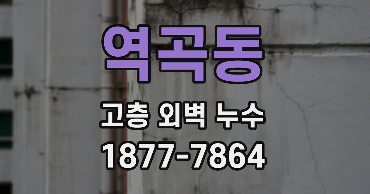 역곡동 고층 외벽 누수