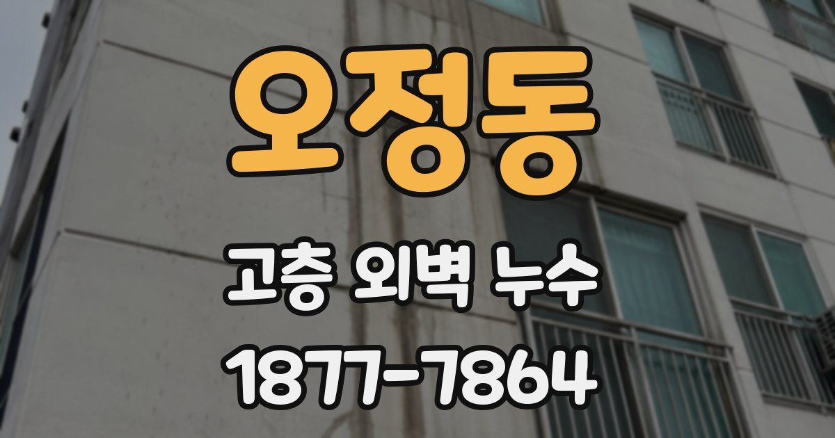 오정동 고층 외벽 누수