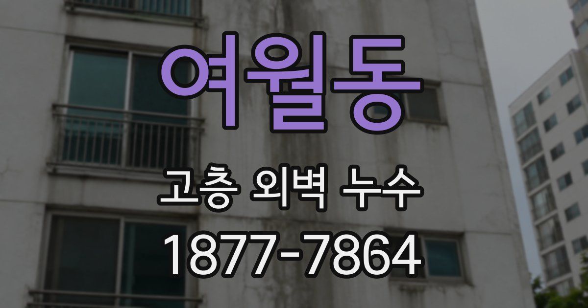 여월동 고층 외벽 누수