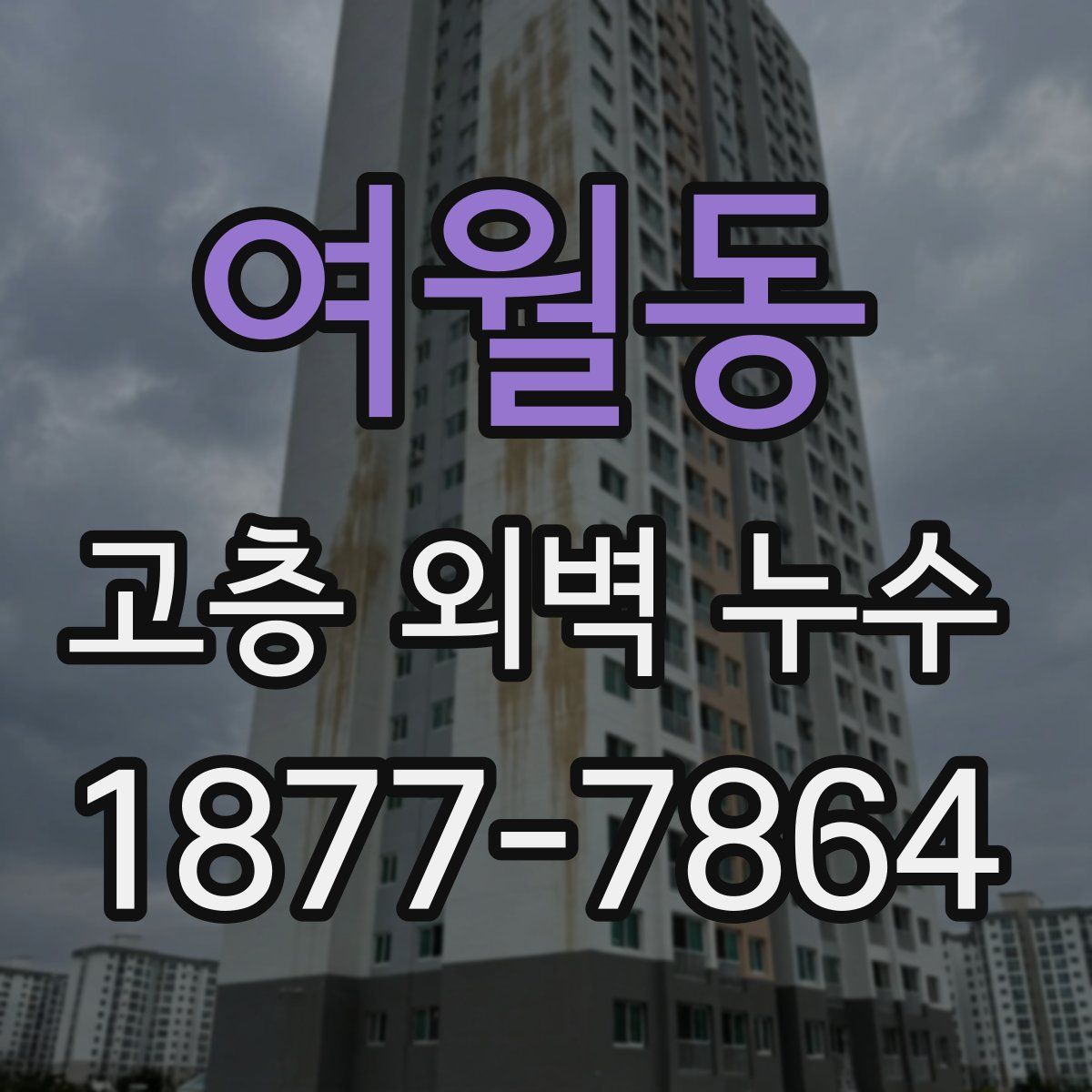 여월동 고층 외벽 누수