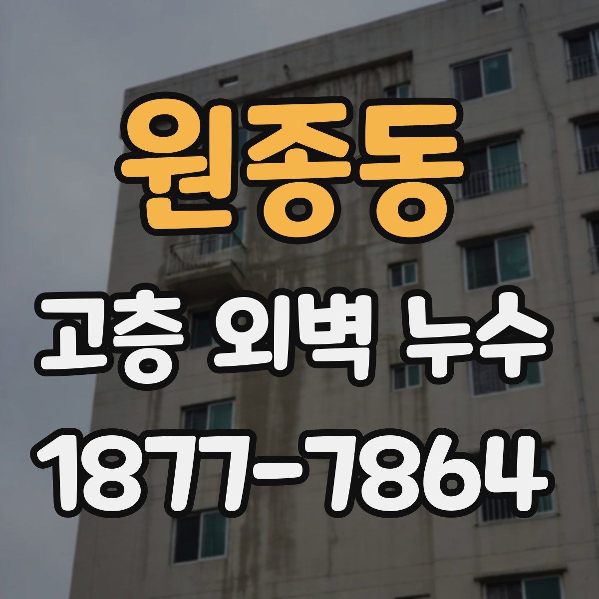 원종동 고층 외벽 누수