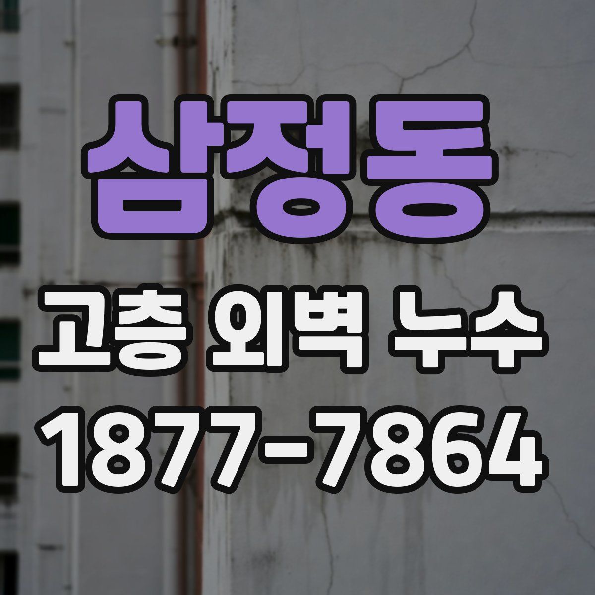 삼정동 고층 외벽 누수