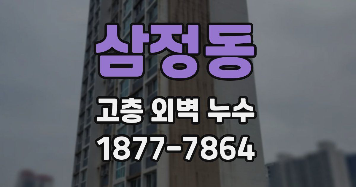 삼정동 고층 외벽 누수