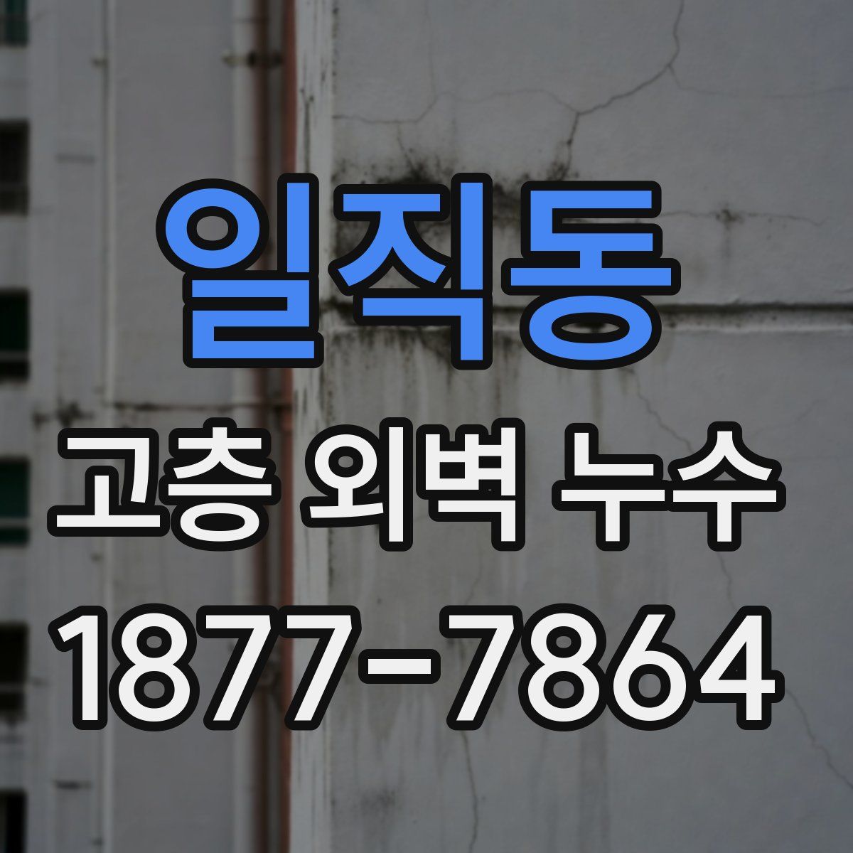 일직동 고층 외벽 누수