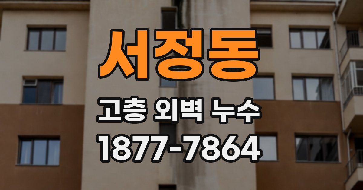 서정동 고층 외벽 누수