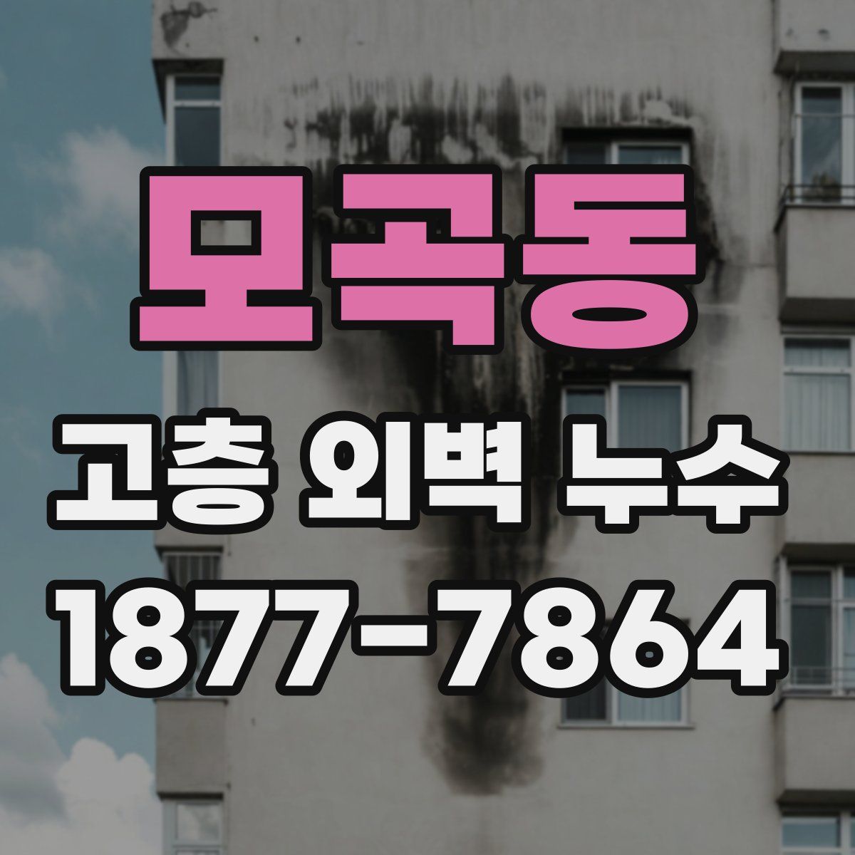 모곡동 고층 외벽 누수