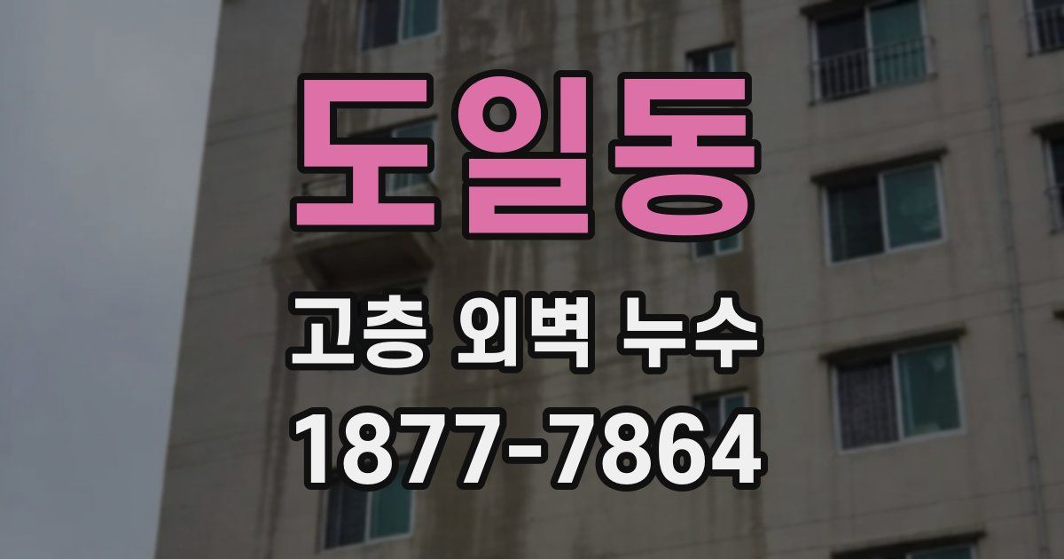 도일동 고층 외벽 누수