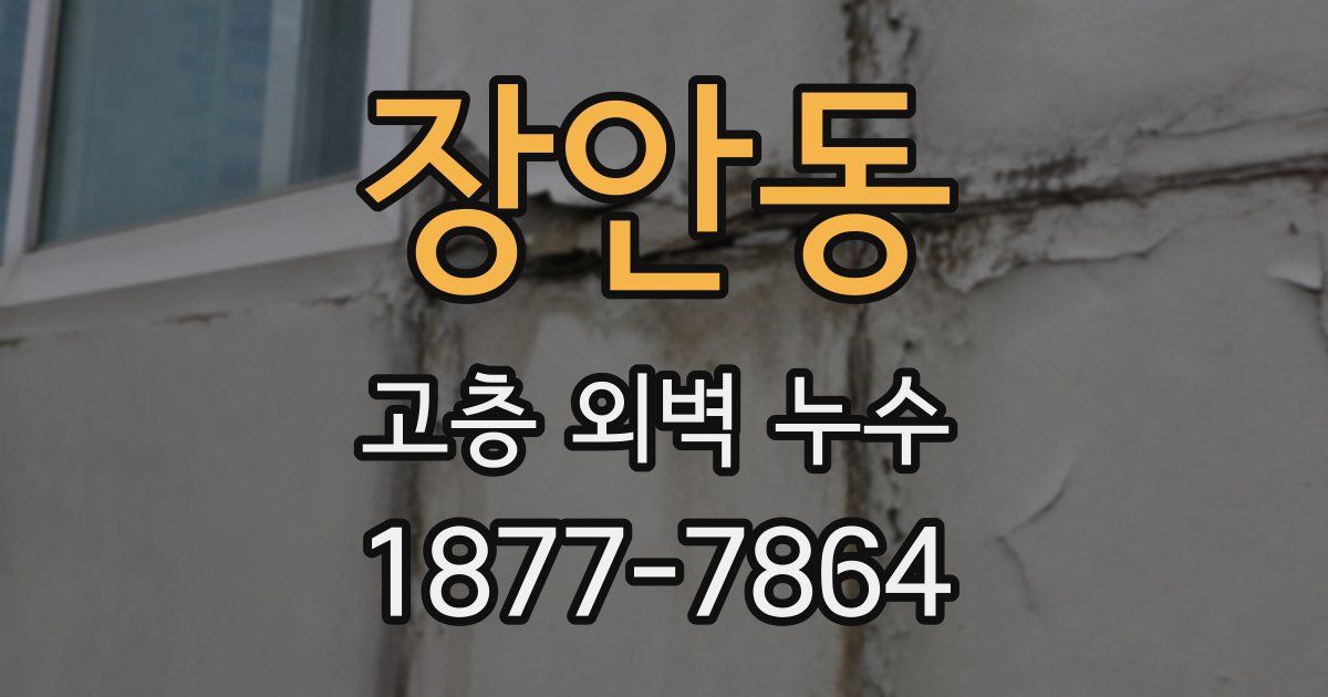 장안동 고층 외벽 누수