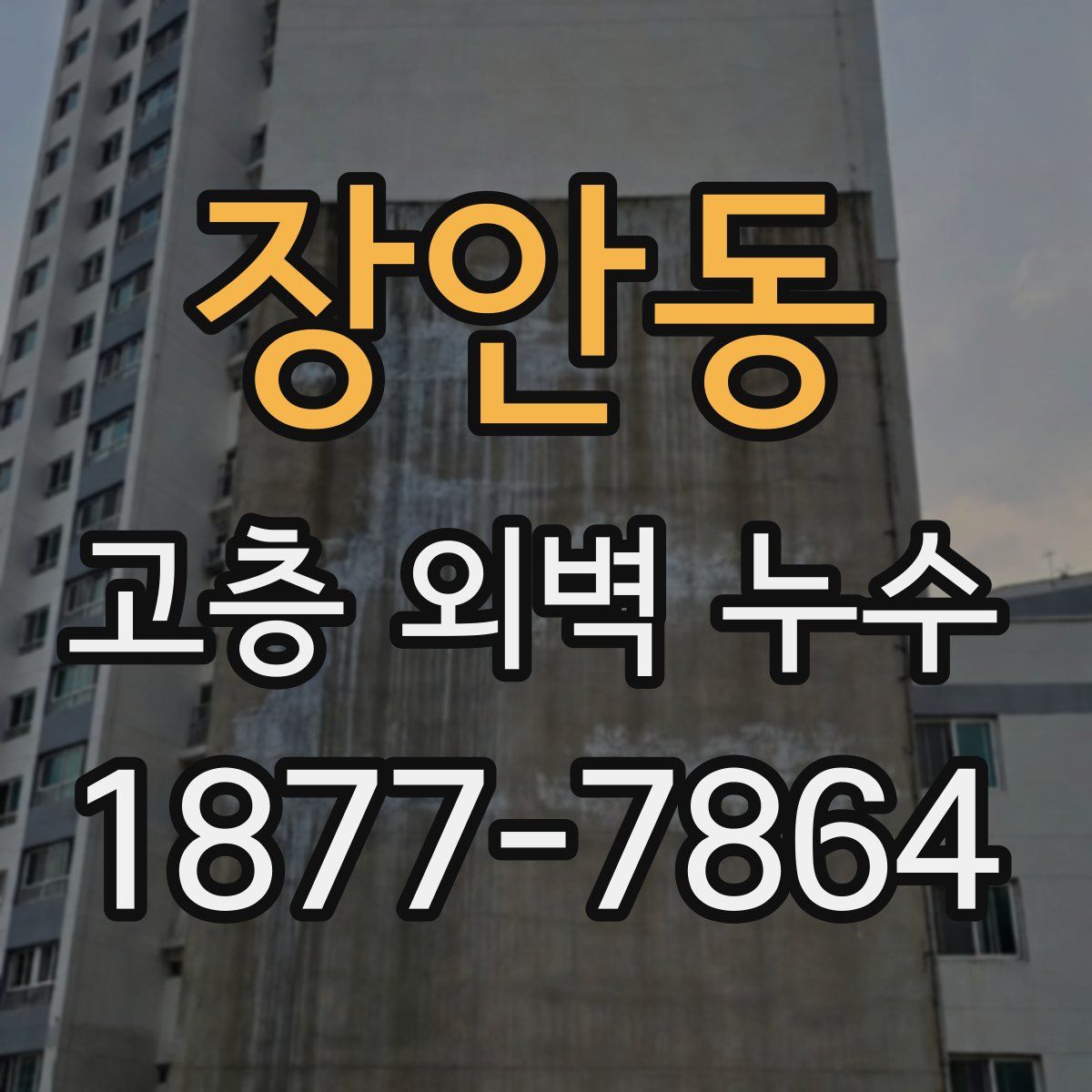 장안동 고층 외벽 누수