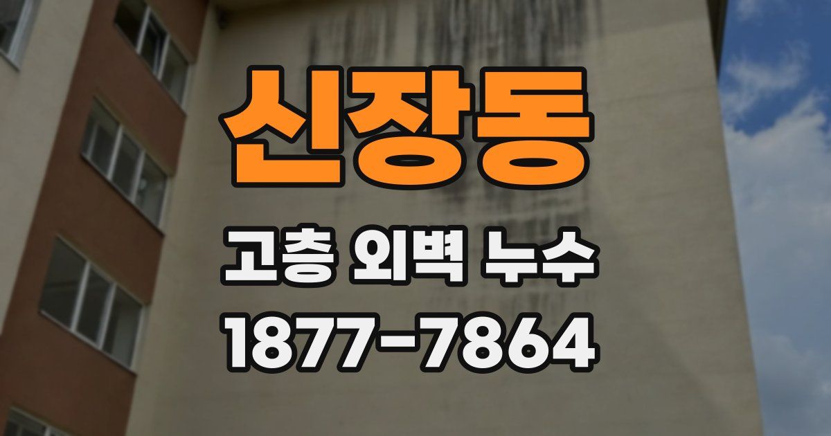 신장동 고층 외벽 누수