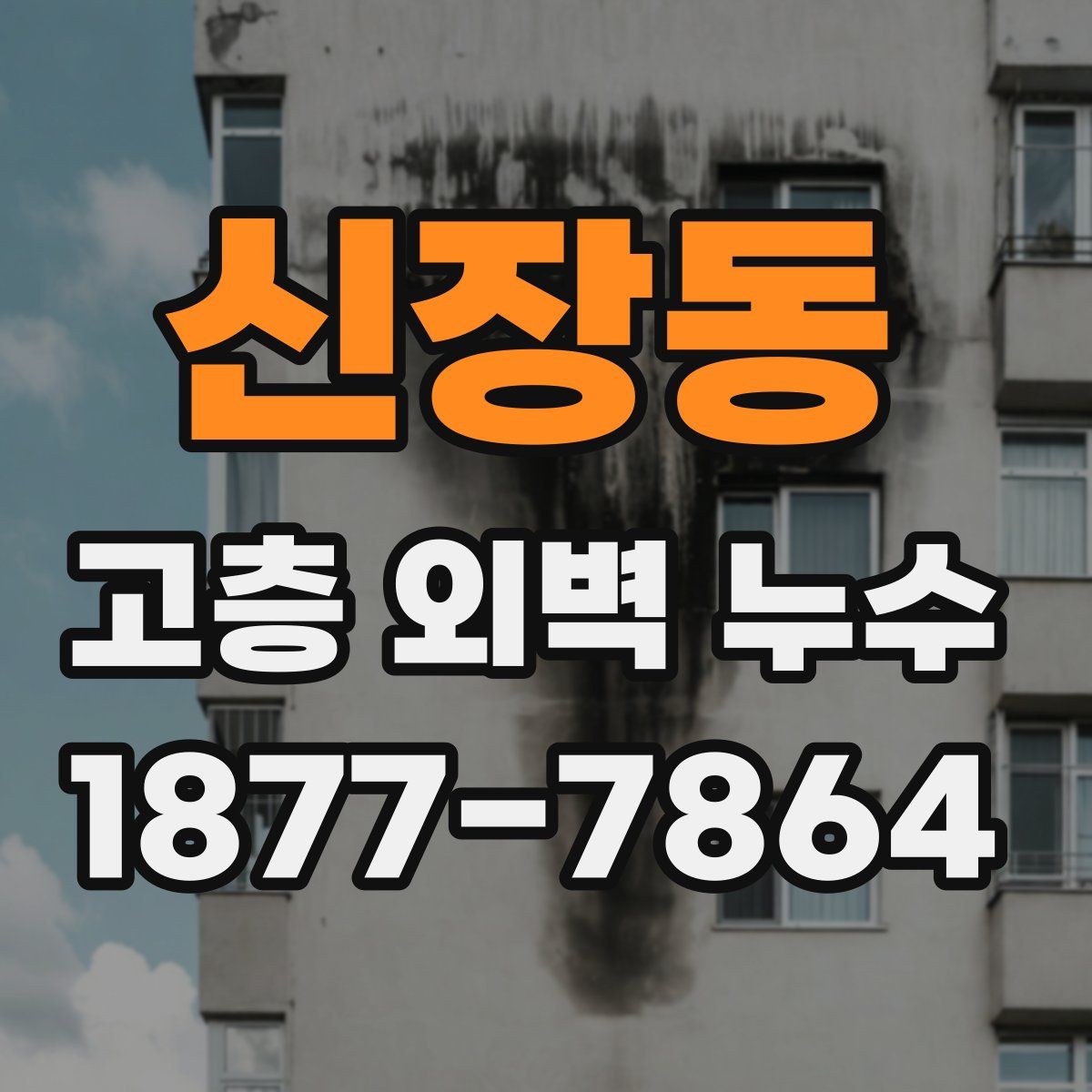 신장동 고층 외벽 누수