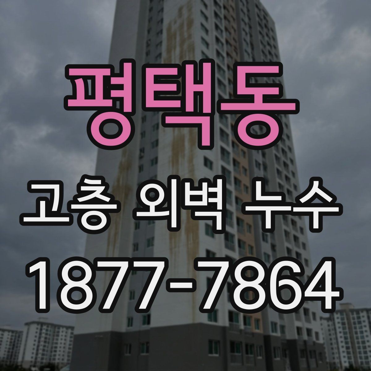 평택동 고층 외벽 누수 누수 위치 파악이 먼저인 이유