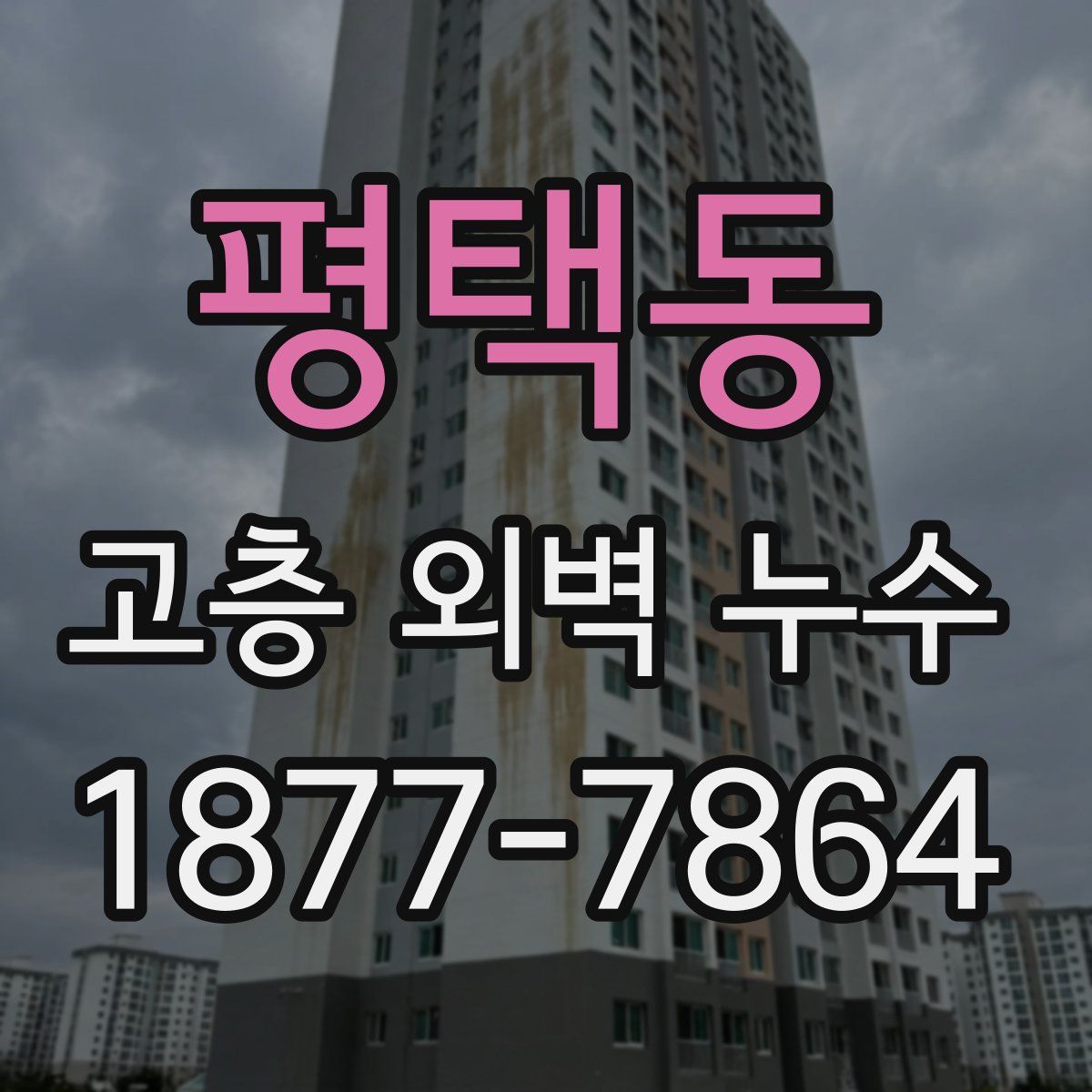 평택동 고층 외벽 누수