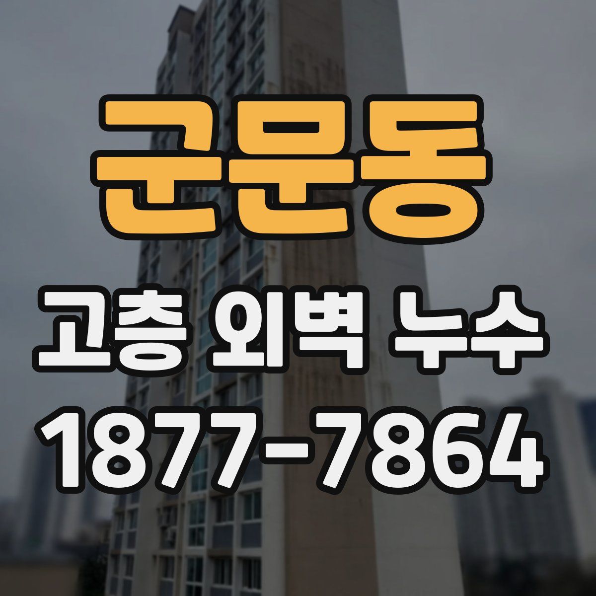 군문동 고층 외벽 누수