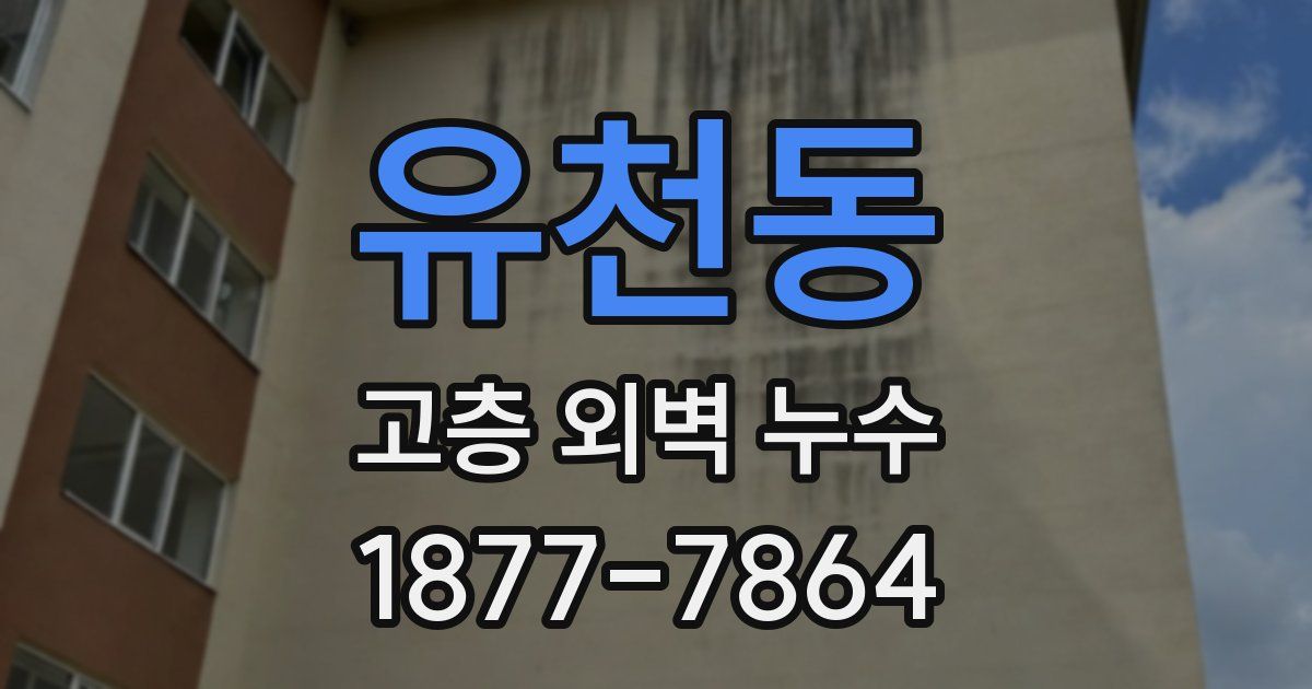 유천동 고층 외벽 누수