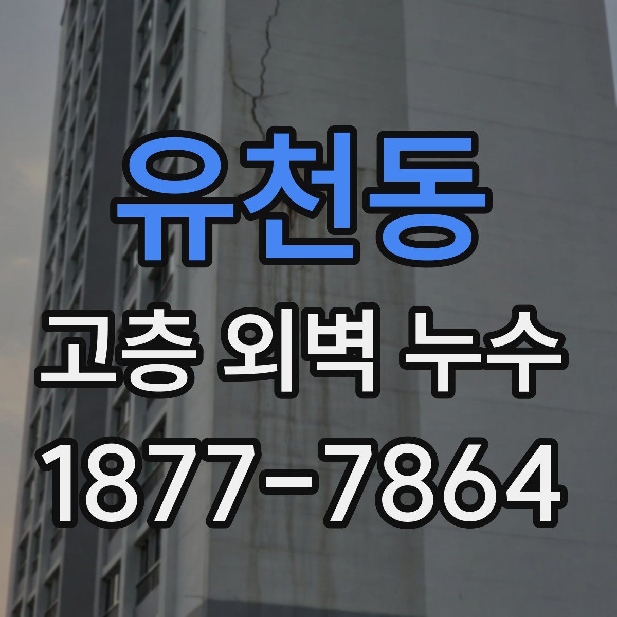 유천동 고층 외벽 누수