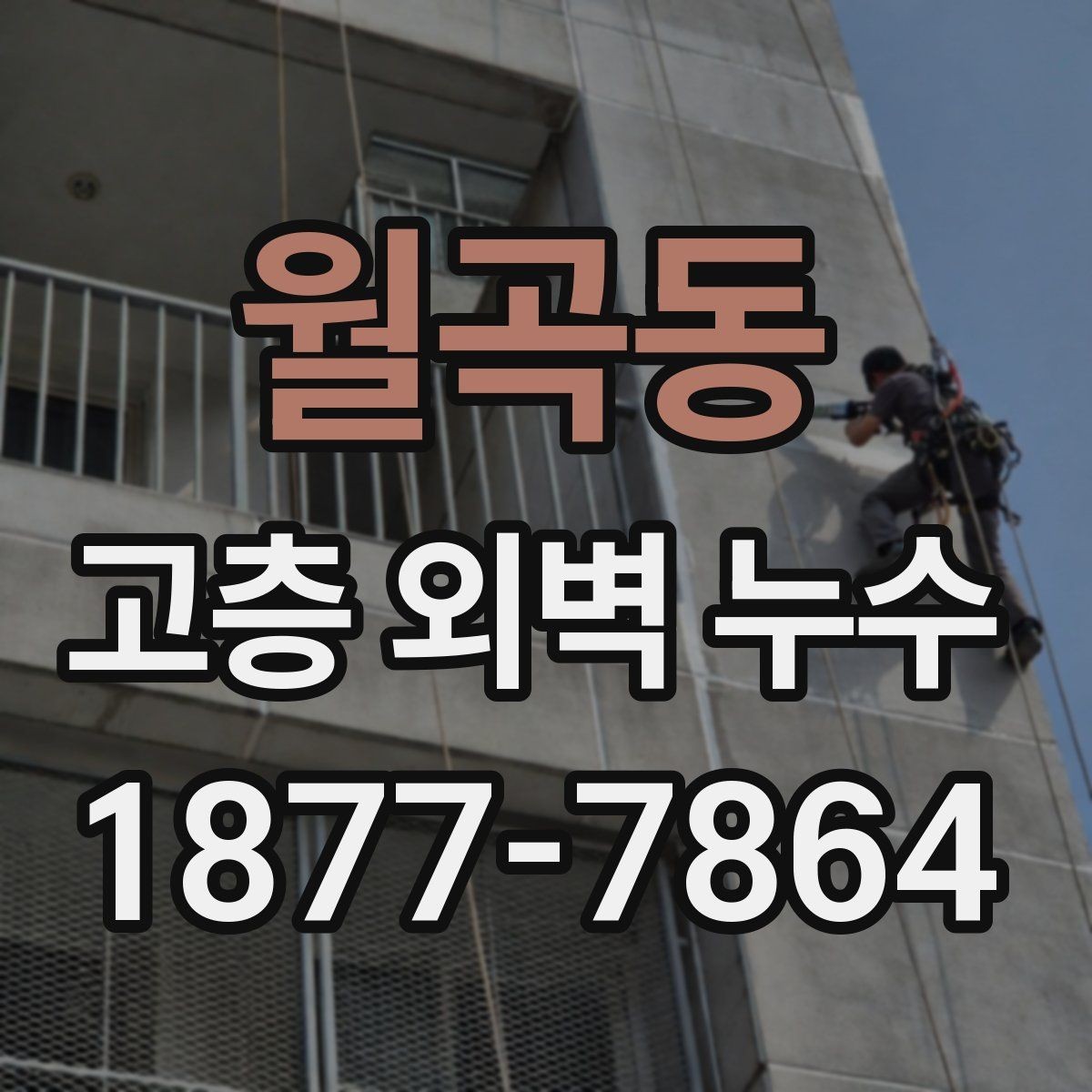 월곡동 고층 외벽 누수 대응 시 공용부와 전용부 구분하기