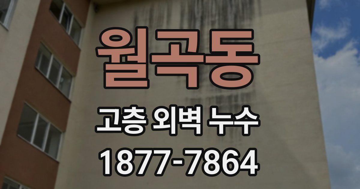 월곡동 고층 외벽 누수