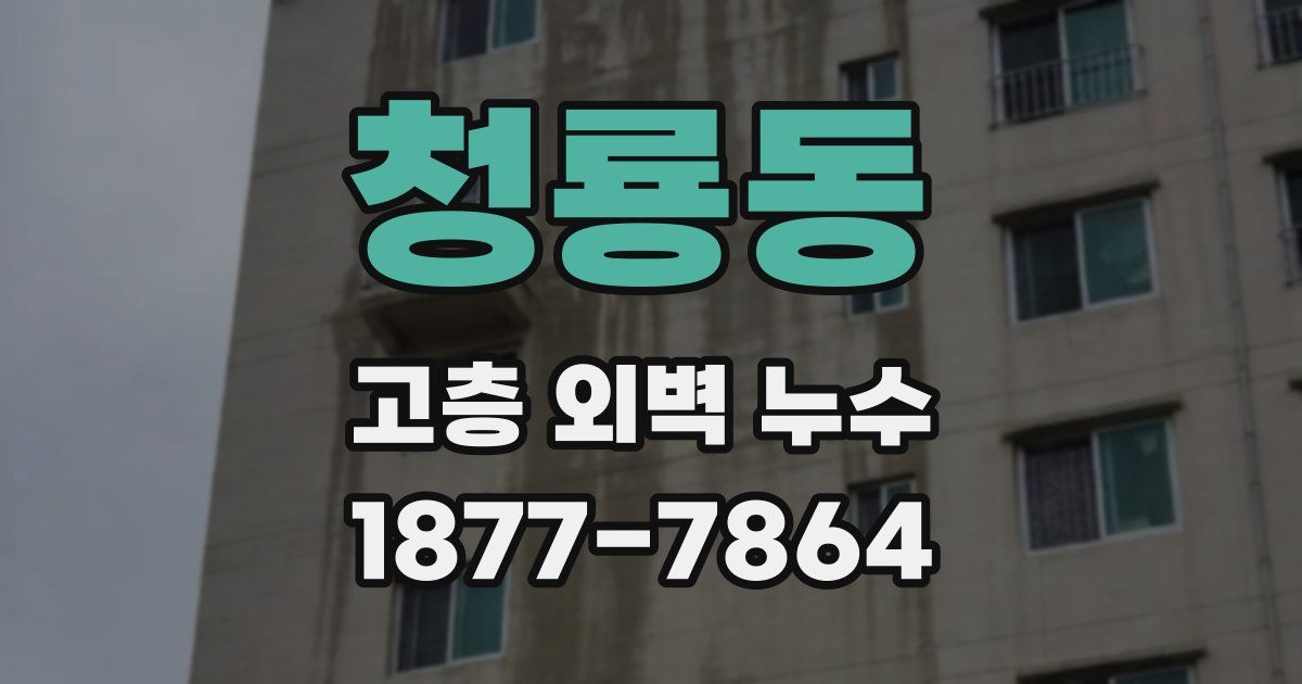 청룡동 고층 외벽 누수