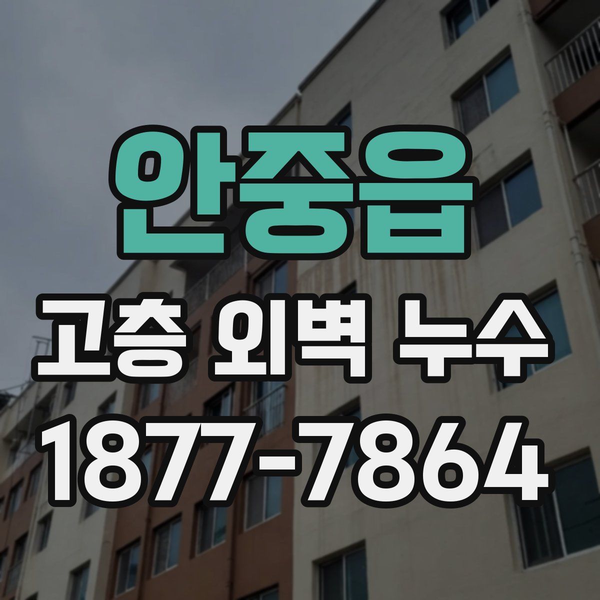 안중읍 고층 외벽 누수