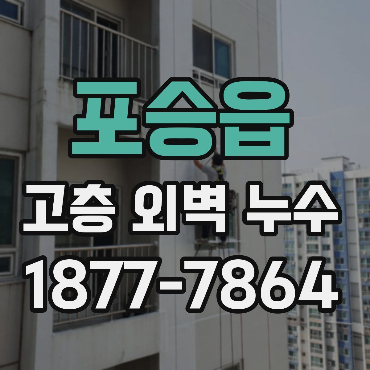 포승읍 고층 외벽 누수