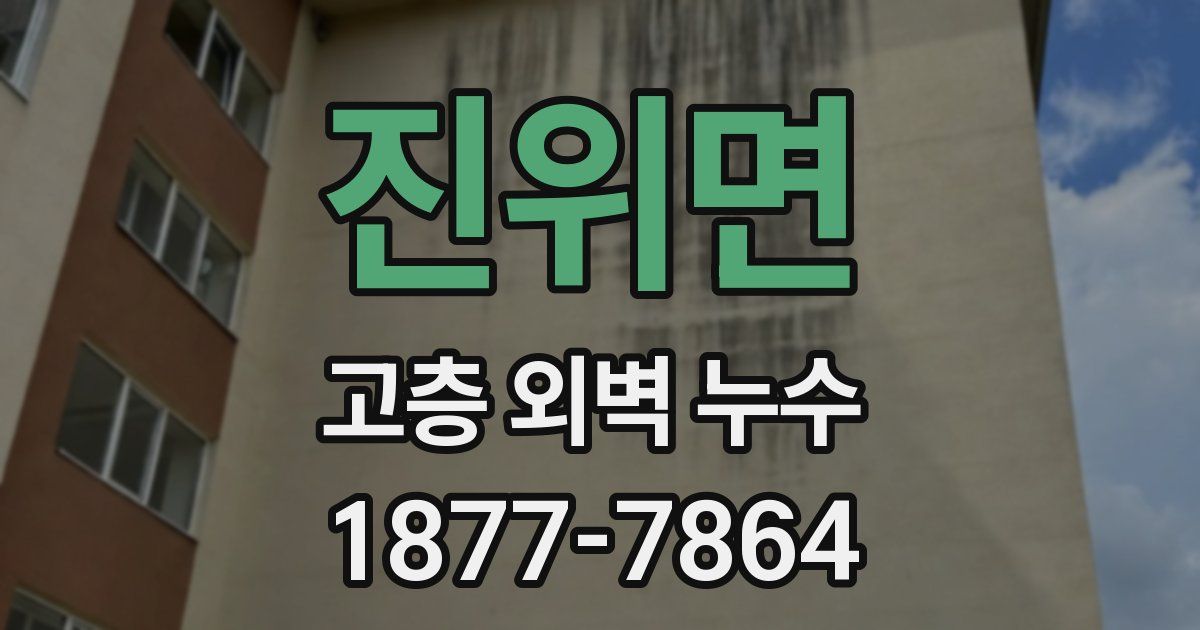 진위면 고층 외벽 누수