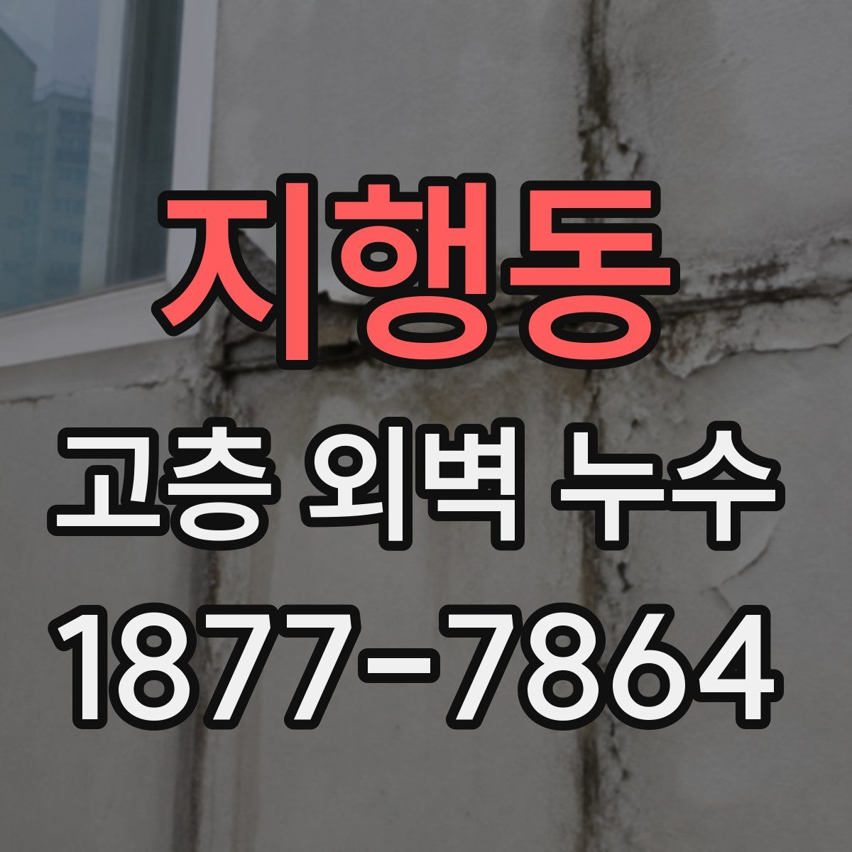 지행동 고층 외벽 누수