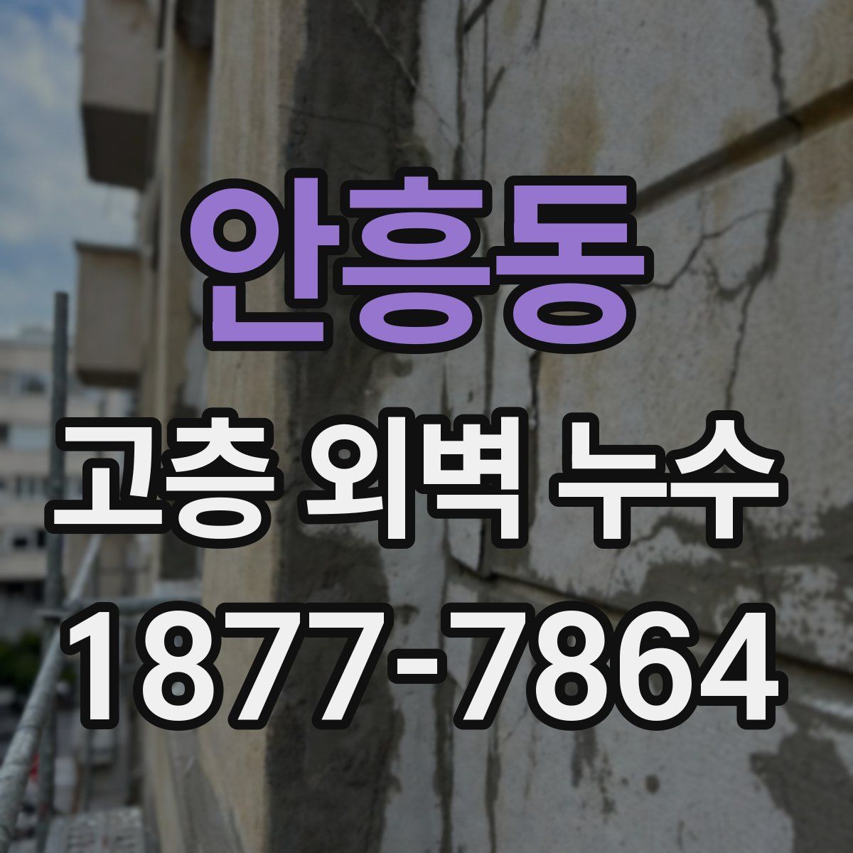 안흥동 고층 외벽 누수
