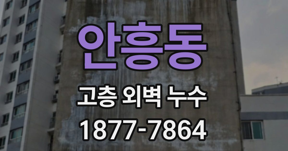 안흥동 고층 외벽 누수