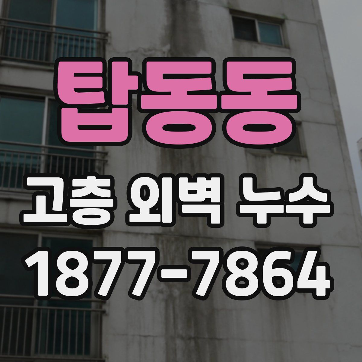탑동동 고층 외벽 누수