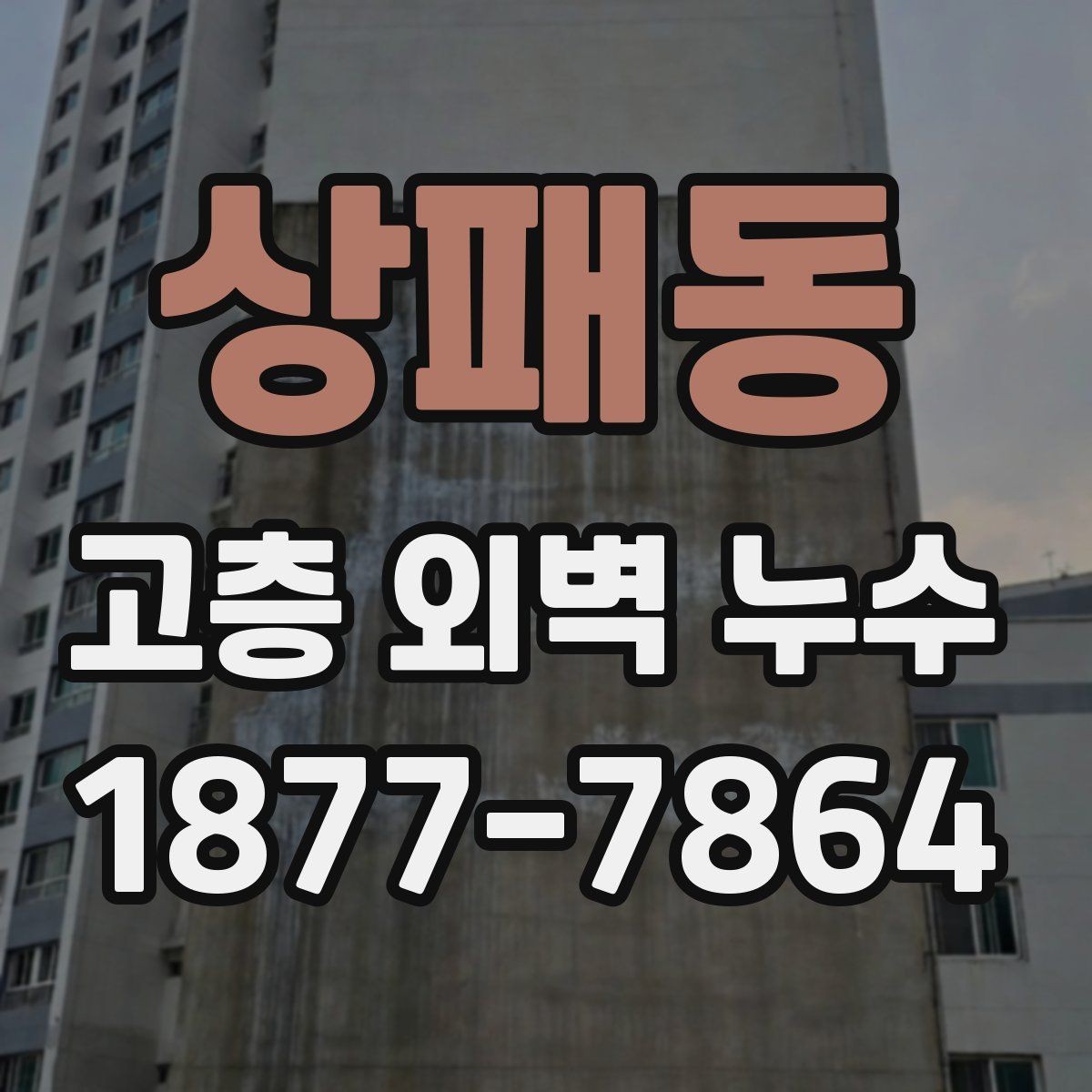 상패동 고층 외벽 누수 보완 구간는 어디까지일까