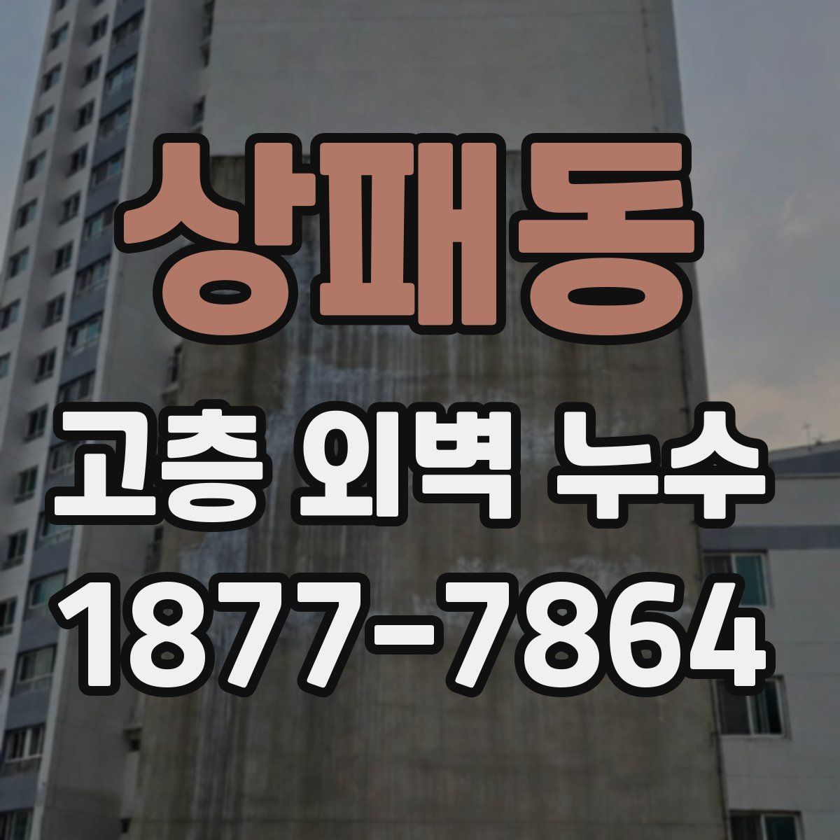 상패동 고층 외벽 누수