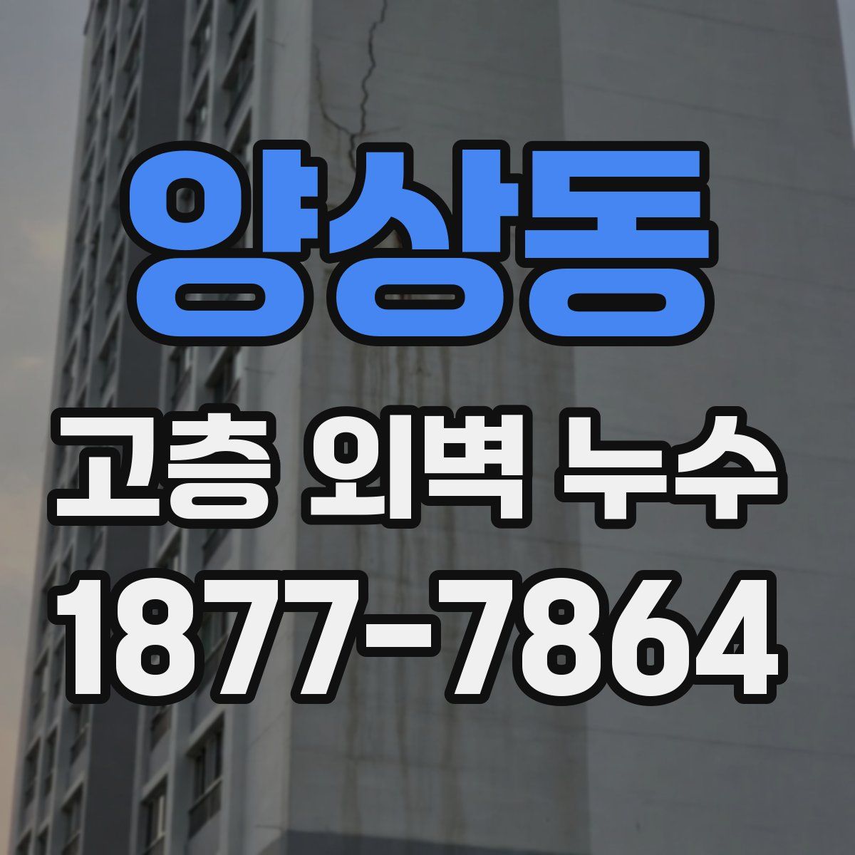 양상동 고층 외벽 누수