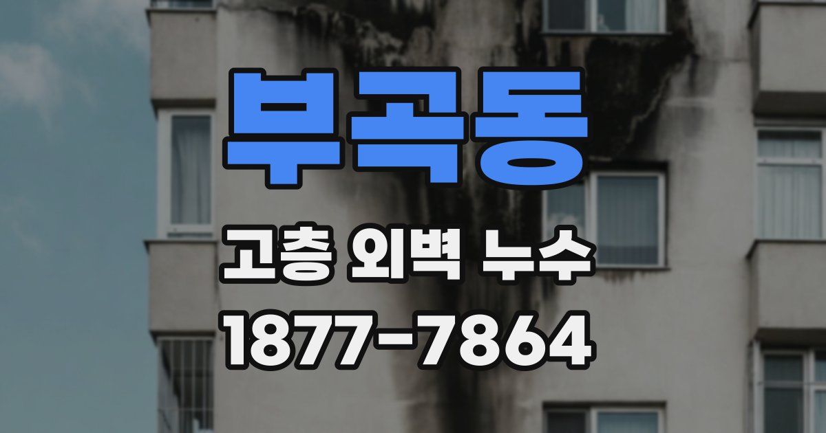 부곡동 고층 외벽 누수