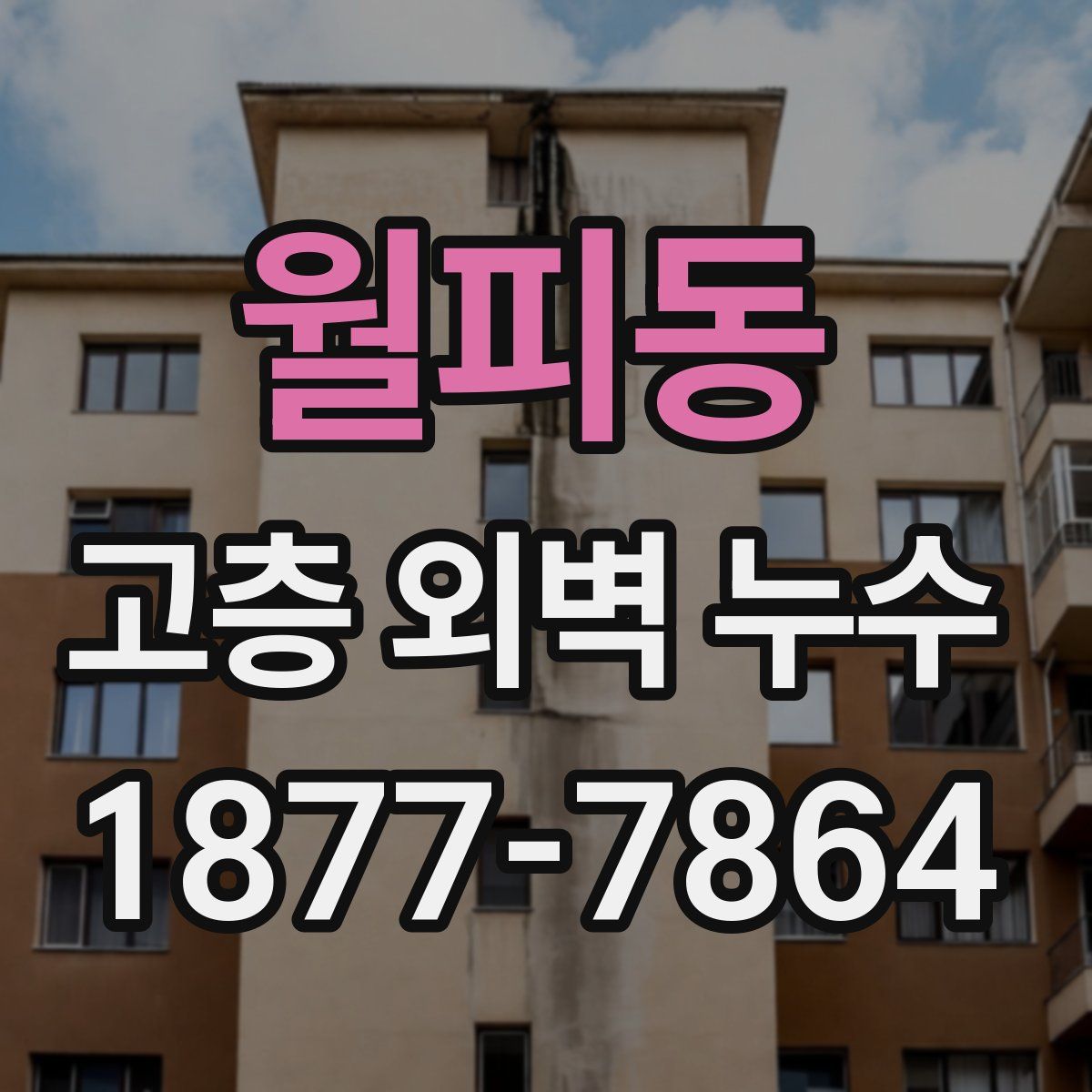 월피동 고층 외벽 누수