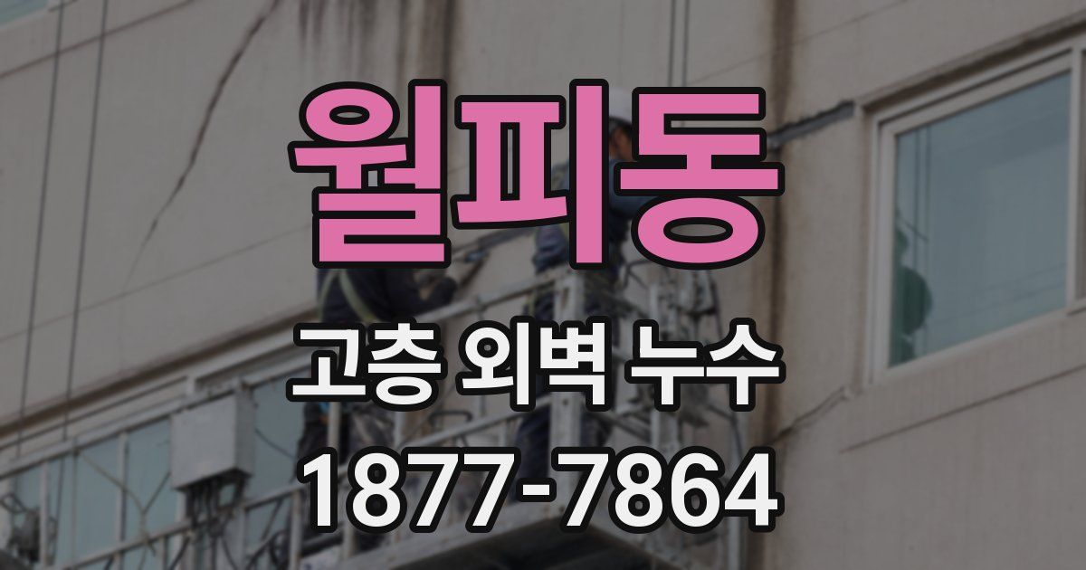 월피동 고층 외벽 누수