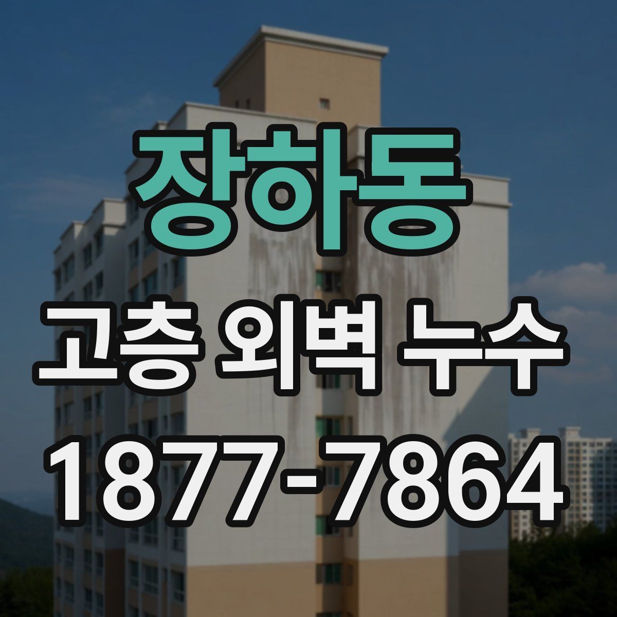 장하동 고층 외벽 누수