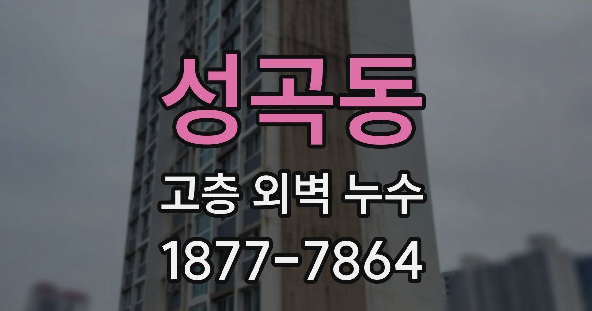 성곡동 고층 외벽 누수