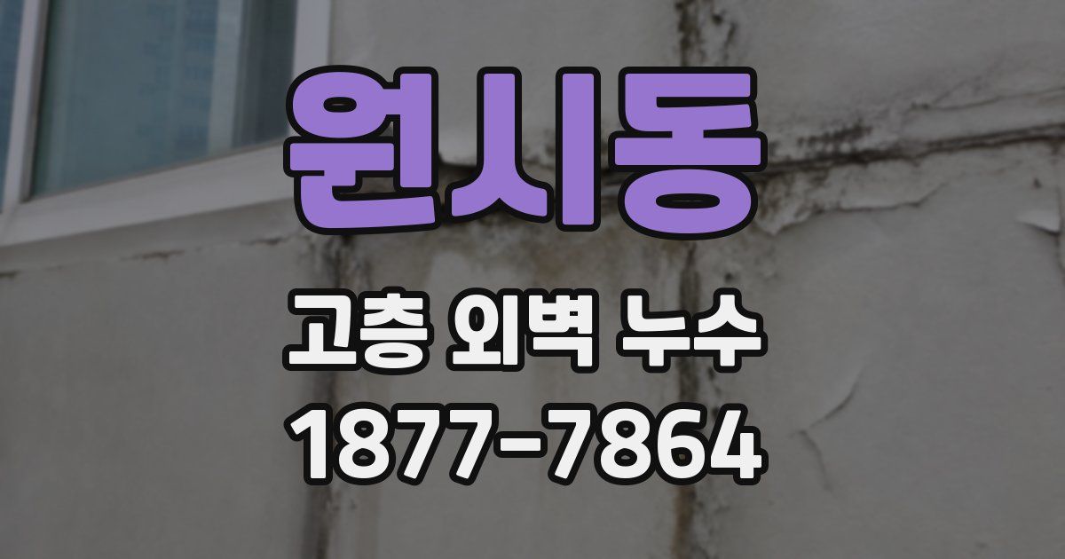 원시동 고층 외벽 누수