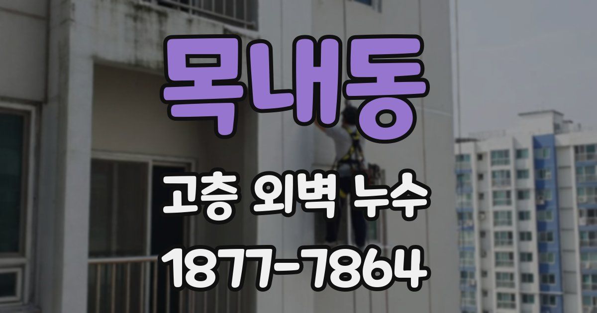 목내동 고층 외벽 누수