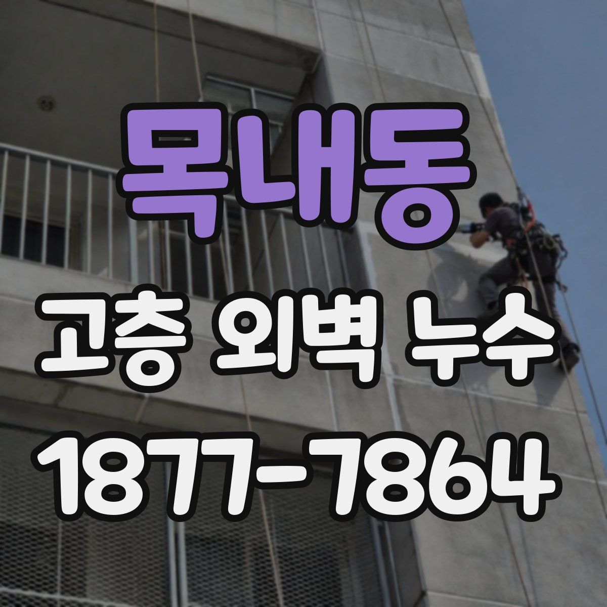 목내동 고층 외벽 누수