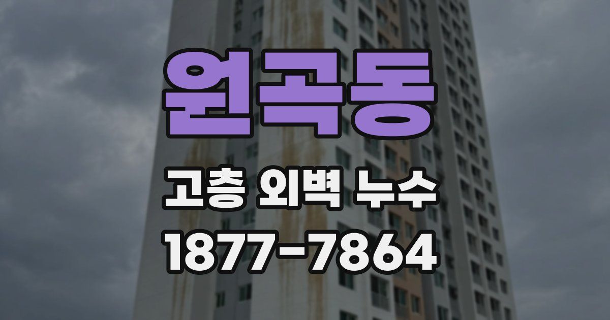 원곡동 고층 외벽 누수