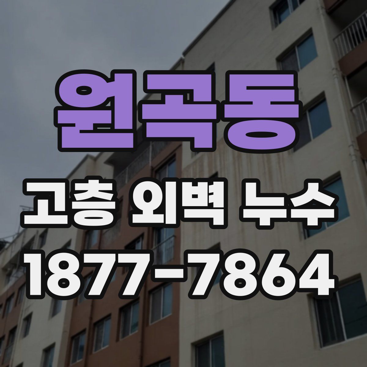 원곡동 고층 외벽 누수