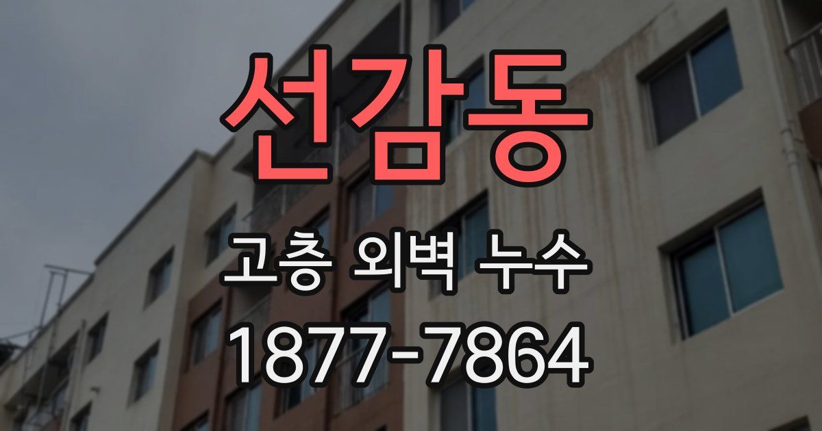 선감동 고층 외벽 누수