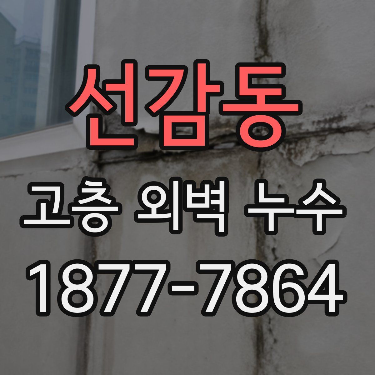 선감동 고층 외벽 누수